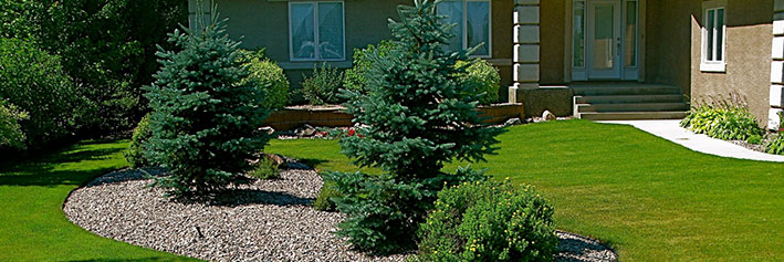 Landscaping